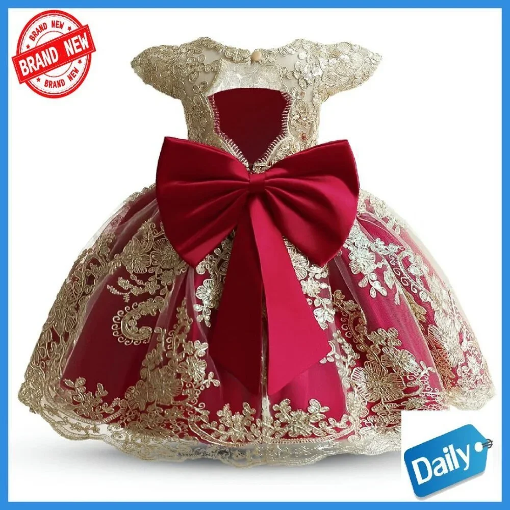 Baby Girl Tutu Dress Princess Lace Embroidery Wedding Party Gown 6-12 Months